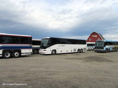 buses arrive at VD