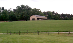 University of Georgia Beef Center