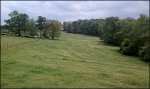 University of Georgia Beef Center