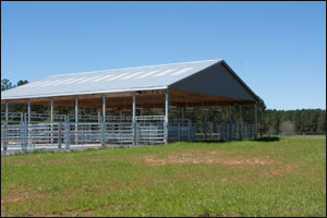 Mayfield Dairy Ga Tours