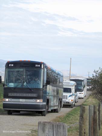 Bus Line