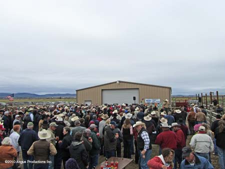 Crowd 2