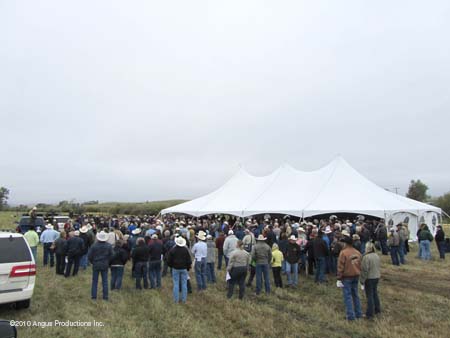 crowd 2