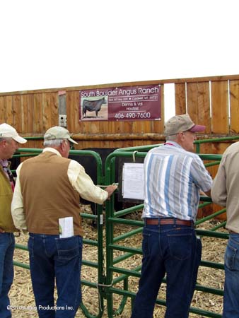 South Boulder pens