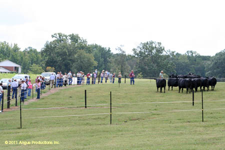 2011-0908-D-R6-F29-KA