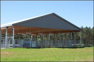 University of Georgia Beef Center