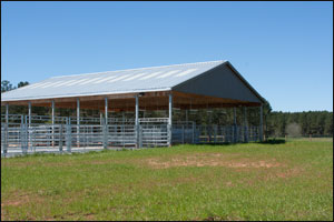 University of Georgia Beef Center