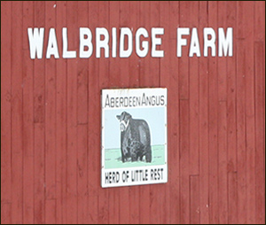 Walbridge Farm